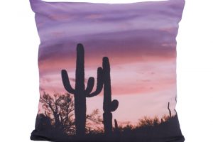Kaktusz_naplemente_800
